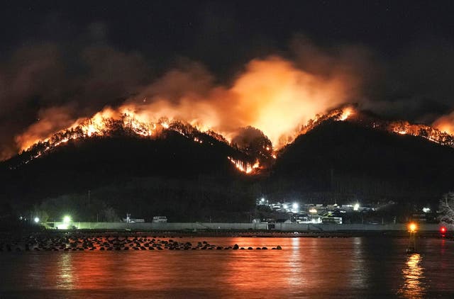 <p>Japan Forest Fire</p>