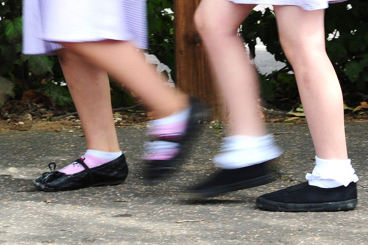 Labour MP: VAT charge on private schools could make elitist system more elitist