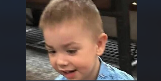 <p>Dane Paulsen, un niño de 2 años desaparecido, fue visto por última vez jugando en el jardín delantero de su casa el sábado 1 de marzo de 2025</p>