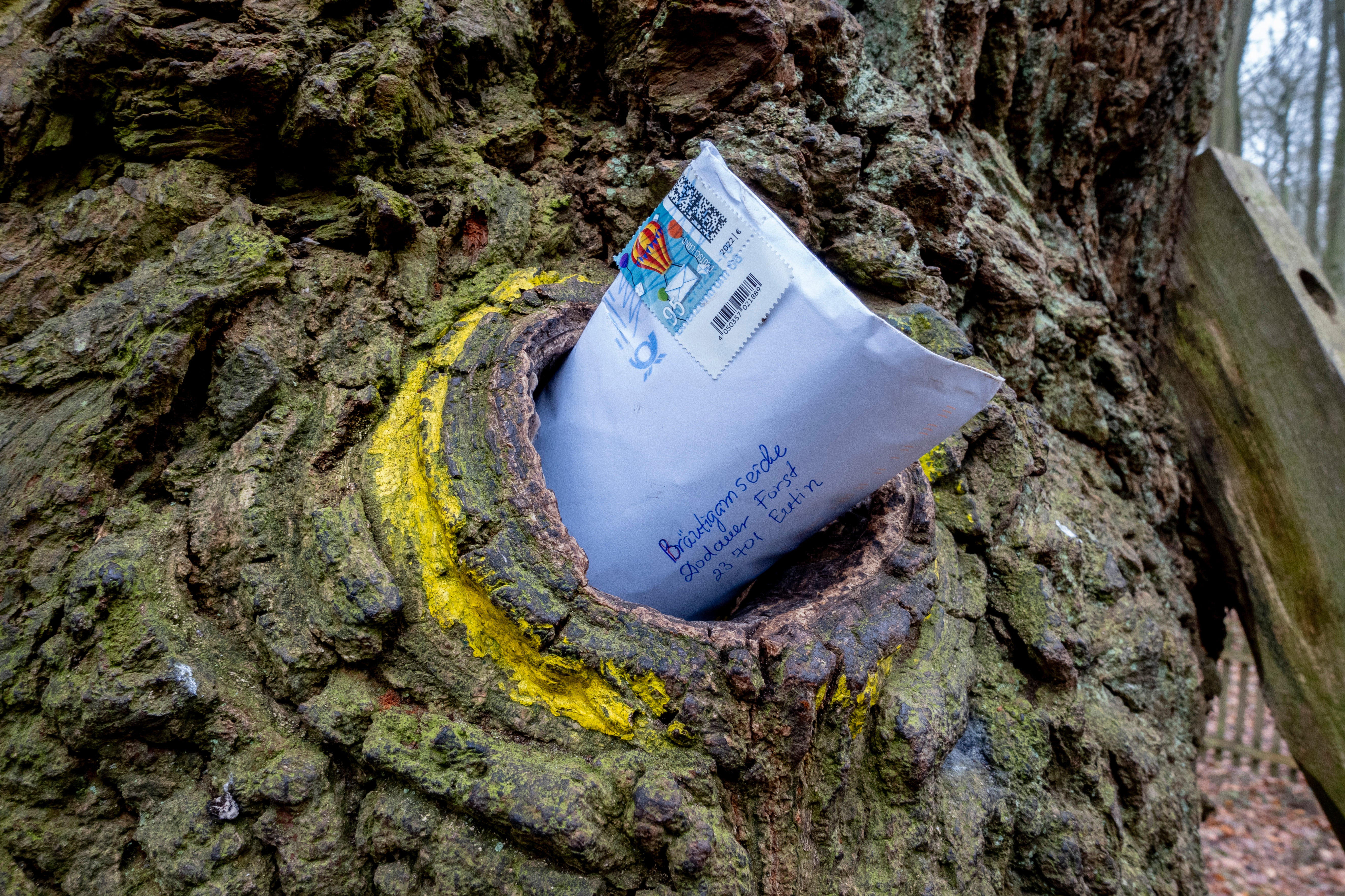 A letter posted in a hole in the Bridegroom's Oak