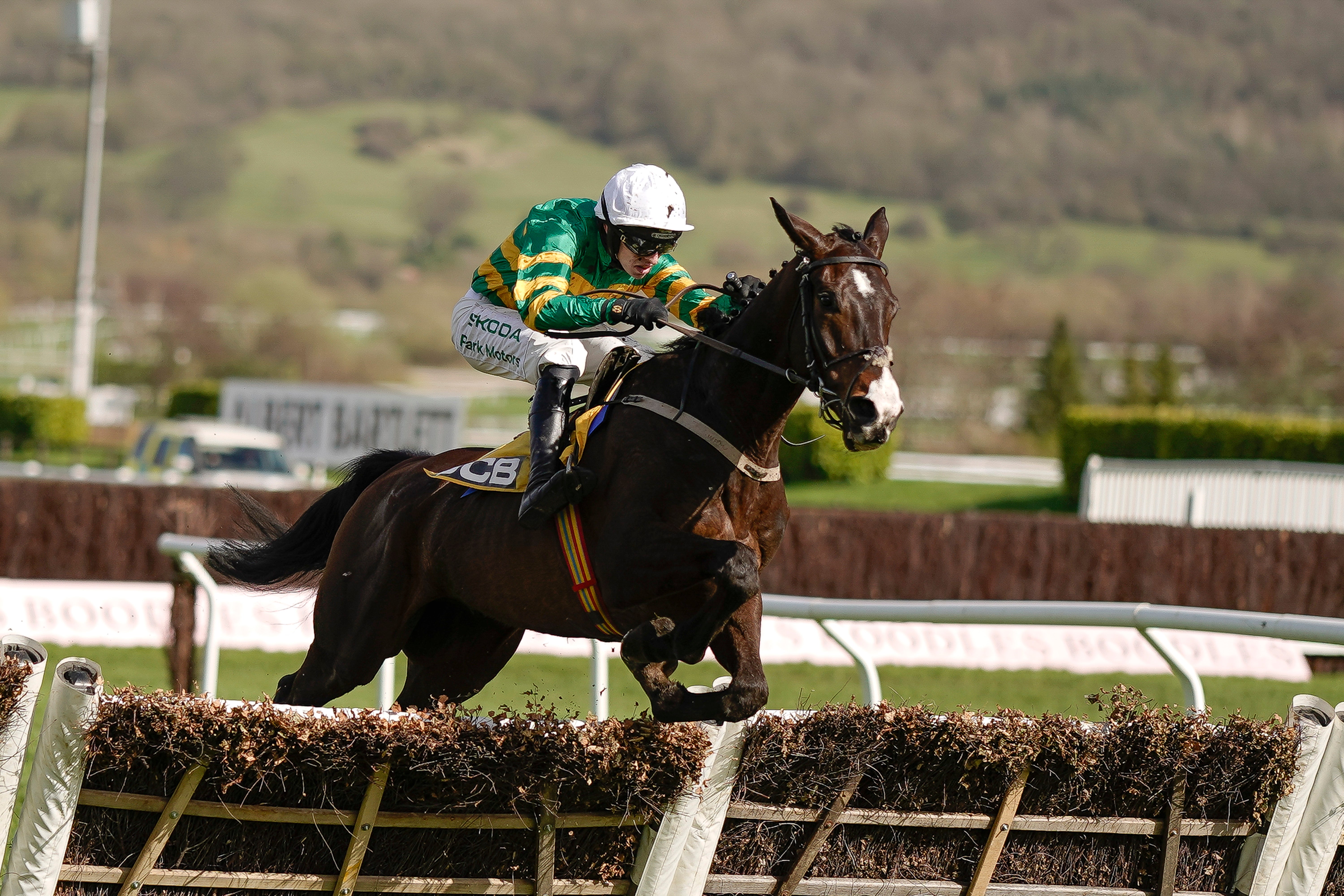 Mark Walsh and Majborough won the JCB Triumph Hurdle in 2024