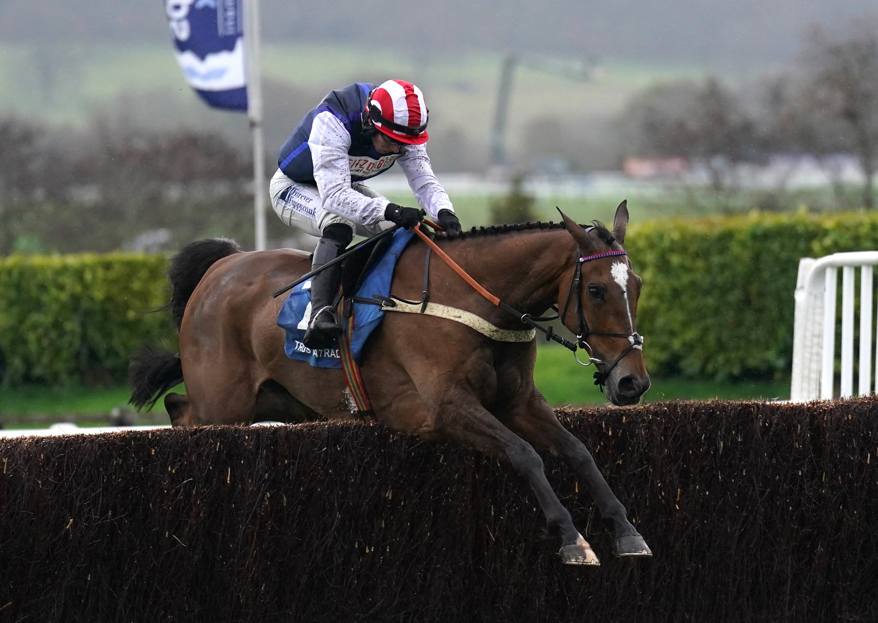 Shakem Up'arry won the TrustATrader Plate Handicap Chase at Cheltenham last year