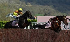 What is a handicap? A brief guide to horseracing jargon for Cheltenham Festival