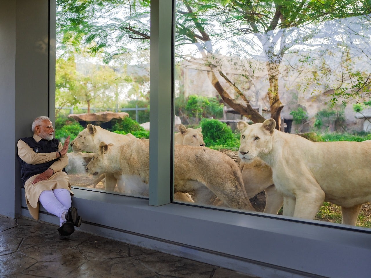 File. Narendra Modi inaugurates India's largest private zoo run by powerful Ambani family