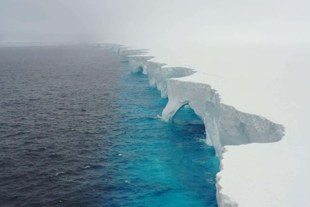 <p>Iceberg A23a, the world’s largest and oldest iceberg, has run aground near the island of South Georgia</p>