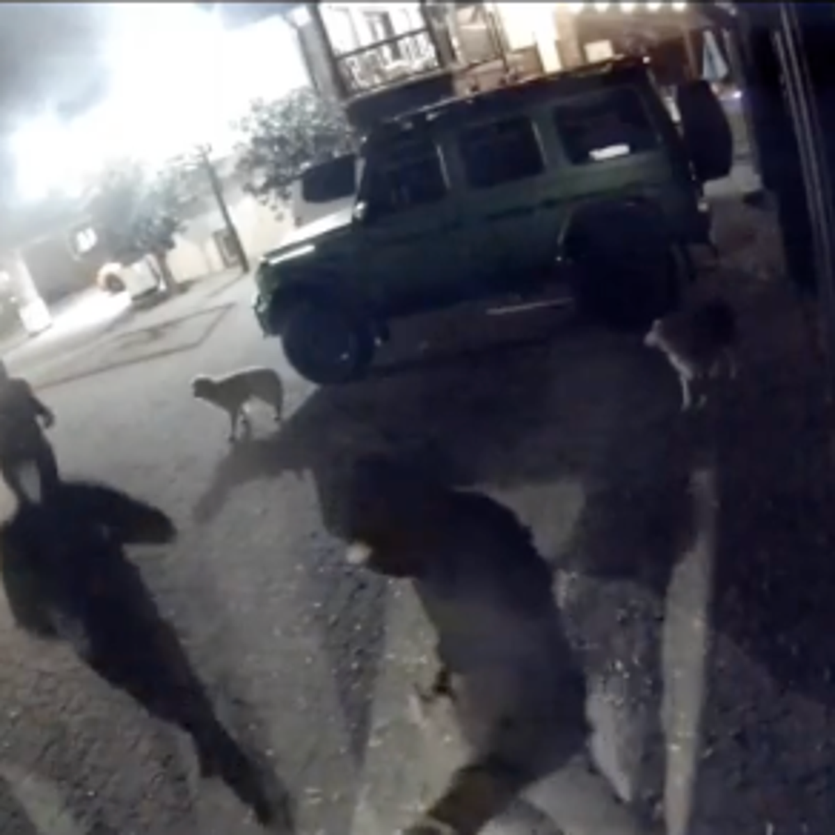 Twitch streamer says she was held at gunpoint for her crypto in home  invasion | The Independent