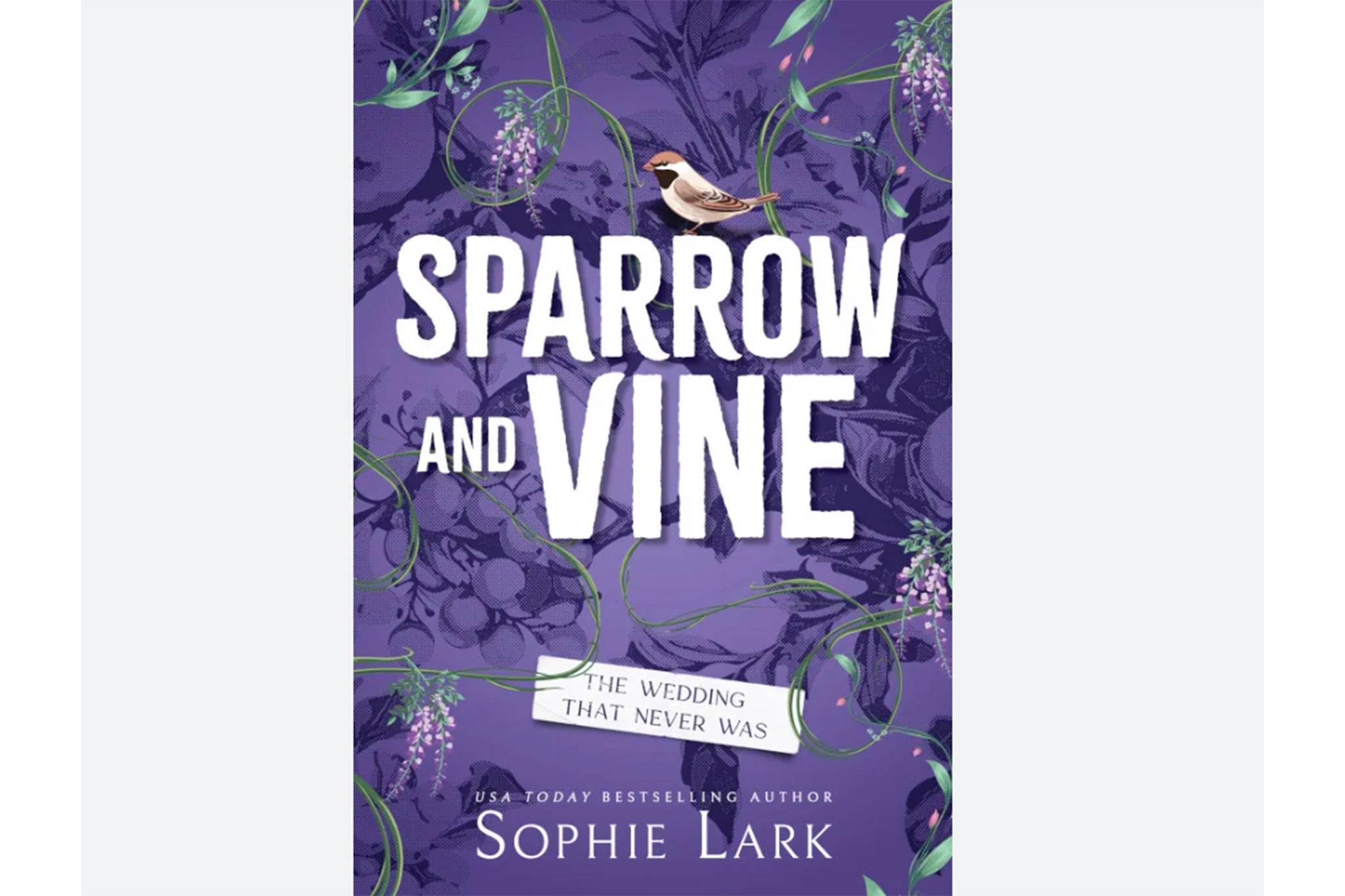 Sophie Lark’s upcoming book was pulled weeks before it was set to be released in April after social media users took issue with two specific lines from it