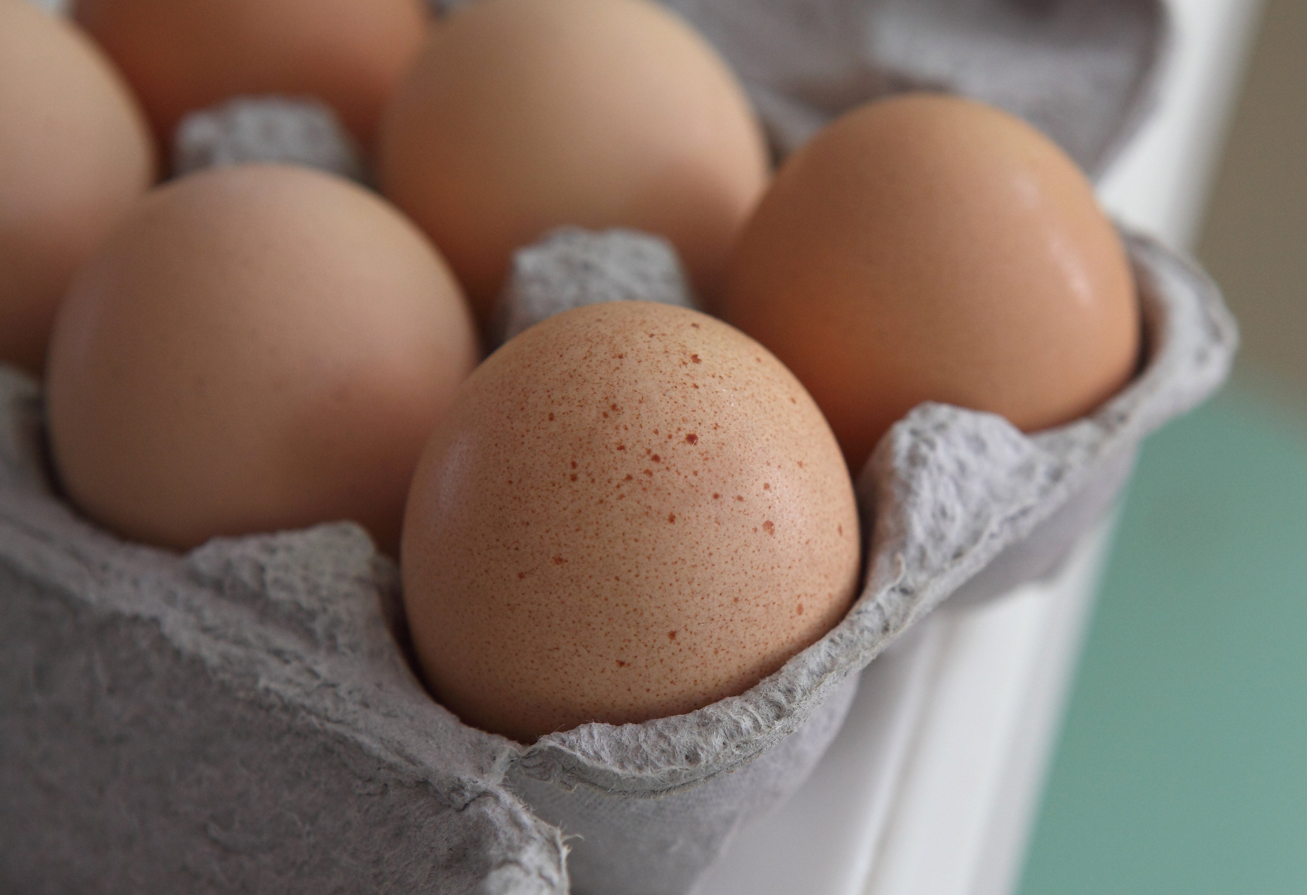 Salmonella can be present on many retail food products – including raw meat and eggs