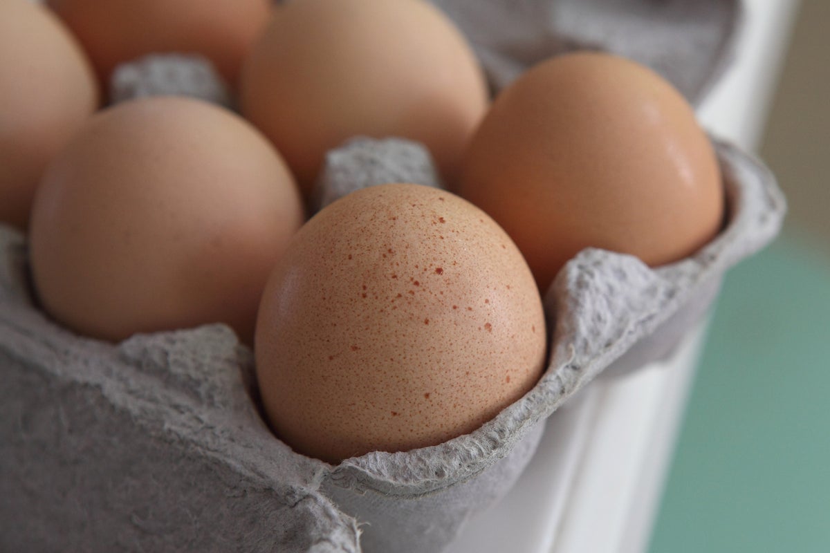 Nearly 100 people across 14 states fall ill in salmonella outbreak linked to eggs
