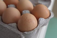 Nearly 100 people across 14 states fall ill in salmonella outbreak linked to eggs