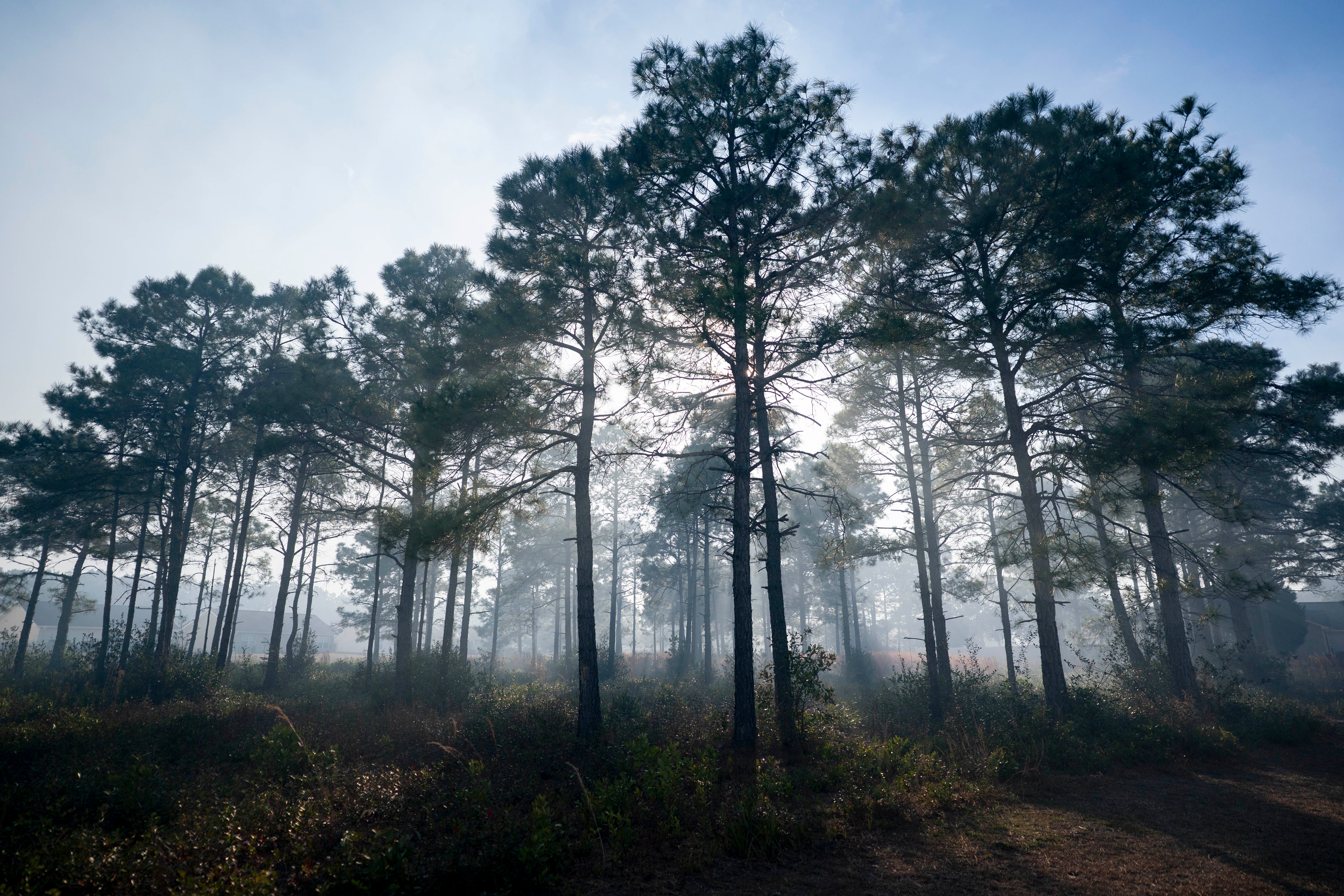 A fumaça está pendurada no ar no bairro de Carolina Forest em 2 de março de 2025 em Myrtle Beach, Carolina do Sul