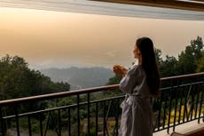 I’ve lived with painful periods for 20 years, could ayurveda be the answer?