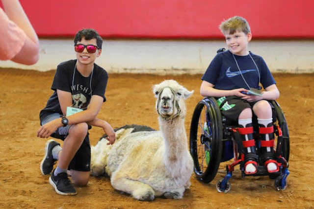 AMN-GEN EEUU-LLAMA MÁS VIEJA DEL MUNDO