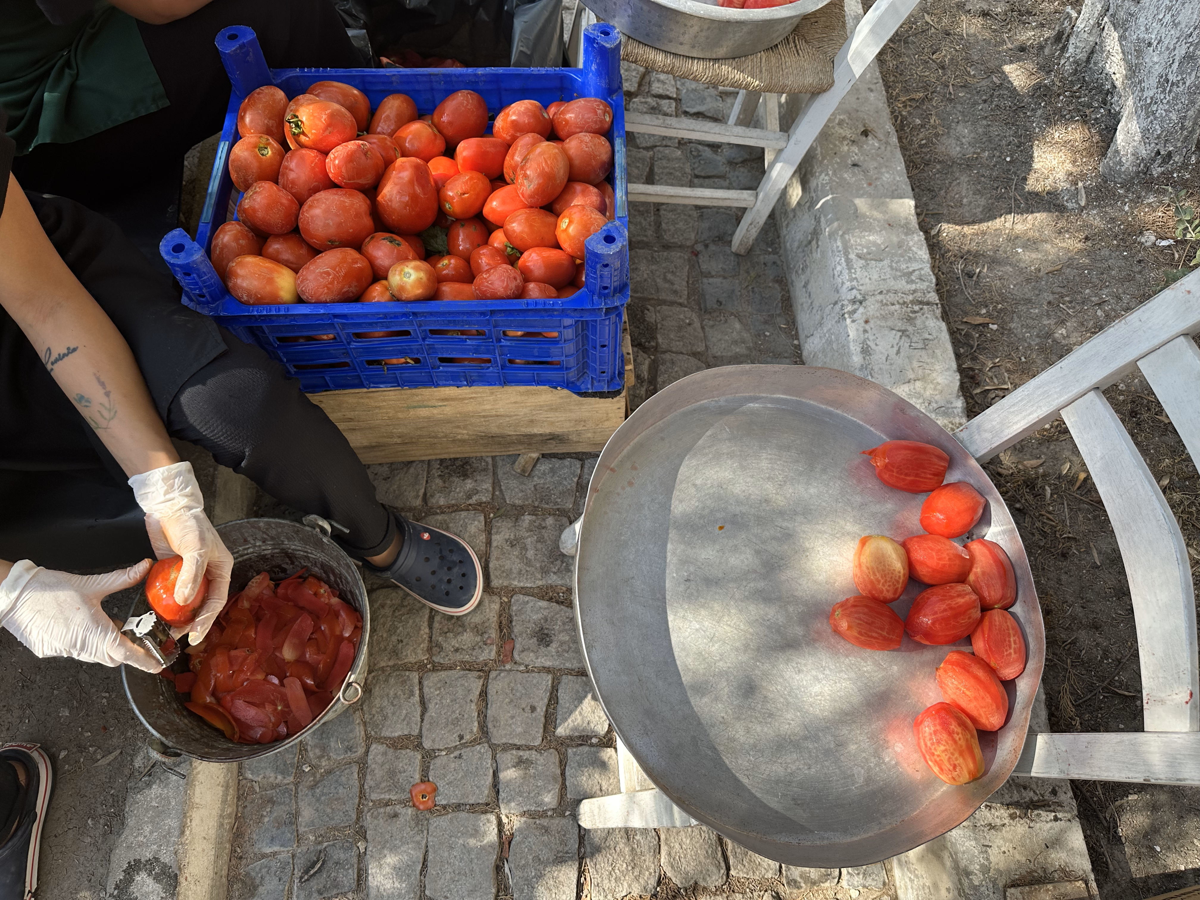 Tomatoes being peeled ready to be turned into jars of sauce at Asma Yapragi, a proud owner of a Green Michelin star