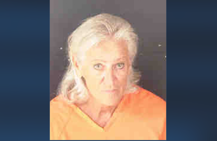 June Fenton, 72, of Sarasota, Florida has been charged in connection to a hit-and-run incident in which she allegedly struck a mother and her two young children, killing the children and seriously injuring the mother