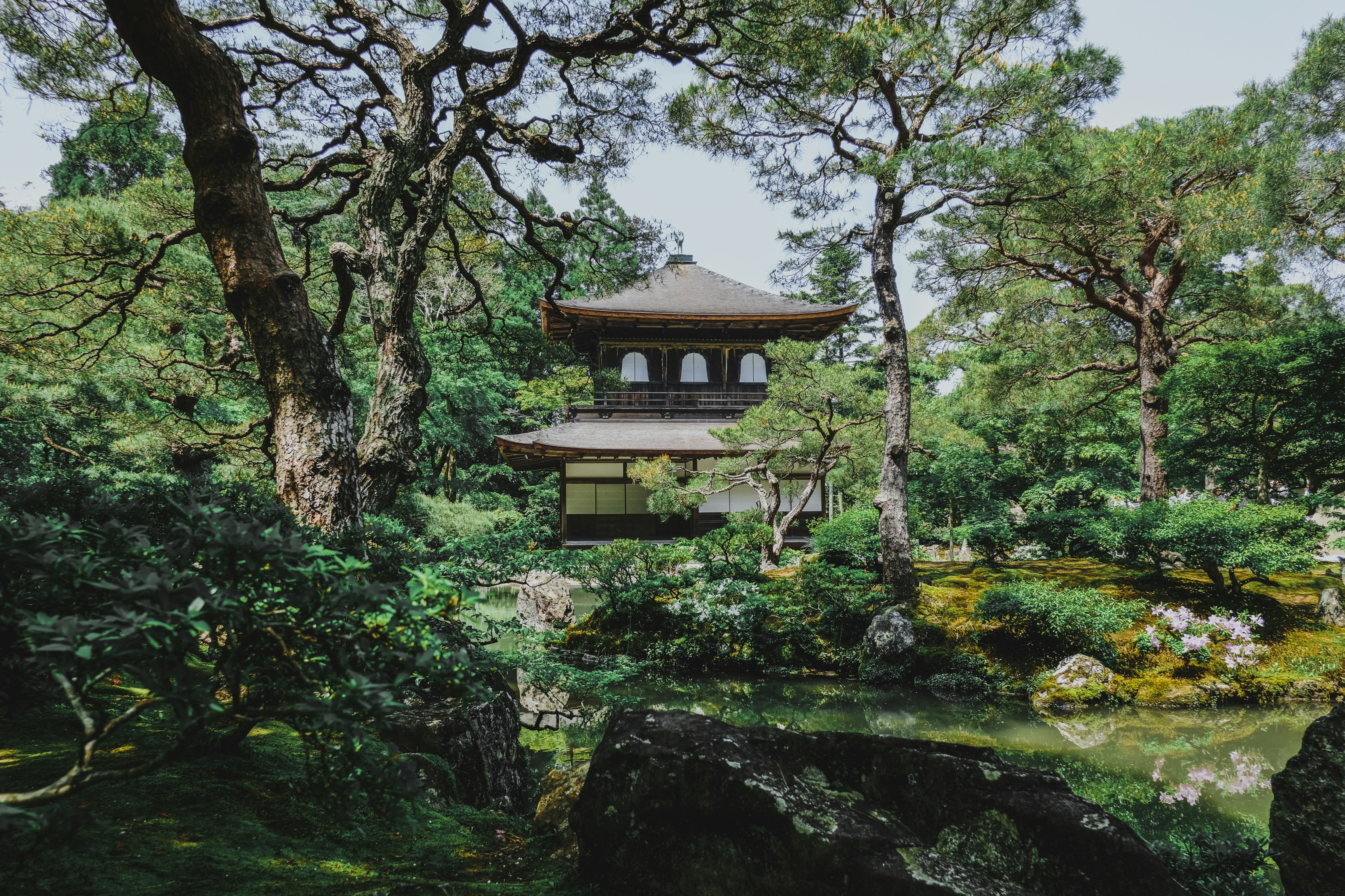 Kyoto, which was once Japan’s capital city, houses numerous temples and shrines