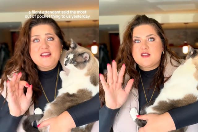 <p>Delta passenger says she was given the ‘wrong information’ on her flight when she was asked to stop her cat from meowing</p>
