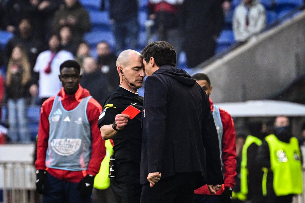 Lyon head coach receives nine-month ban for confronting referee