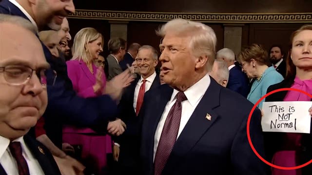 <p>Democrat's This Is Not Normal sign snatched, nearly hitting Trump </p>