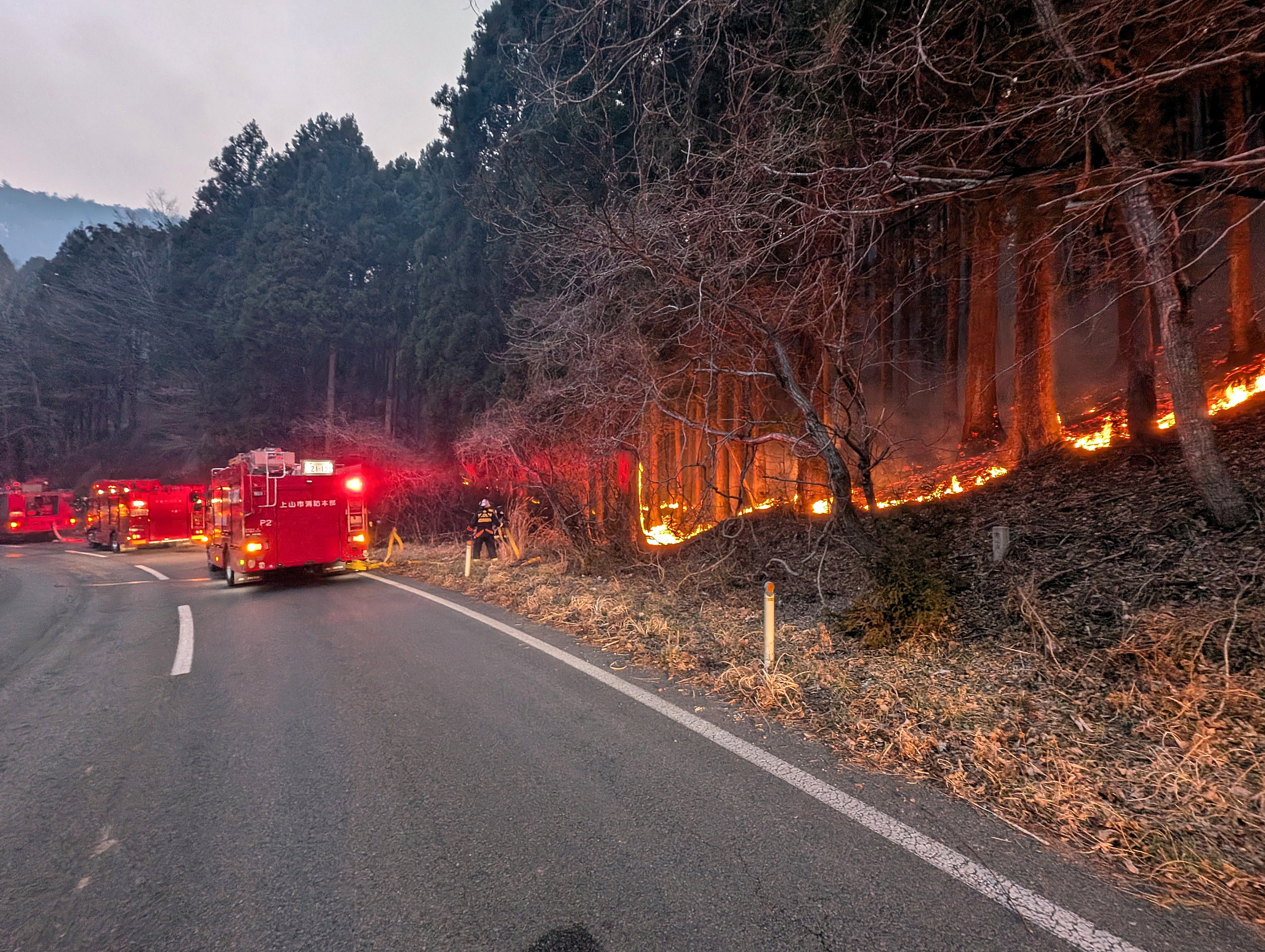 Over 2000 hectares burned in wildfire in northeastern Japan