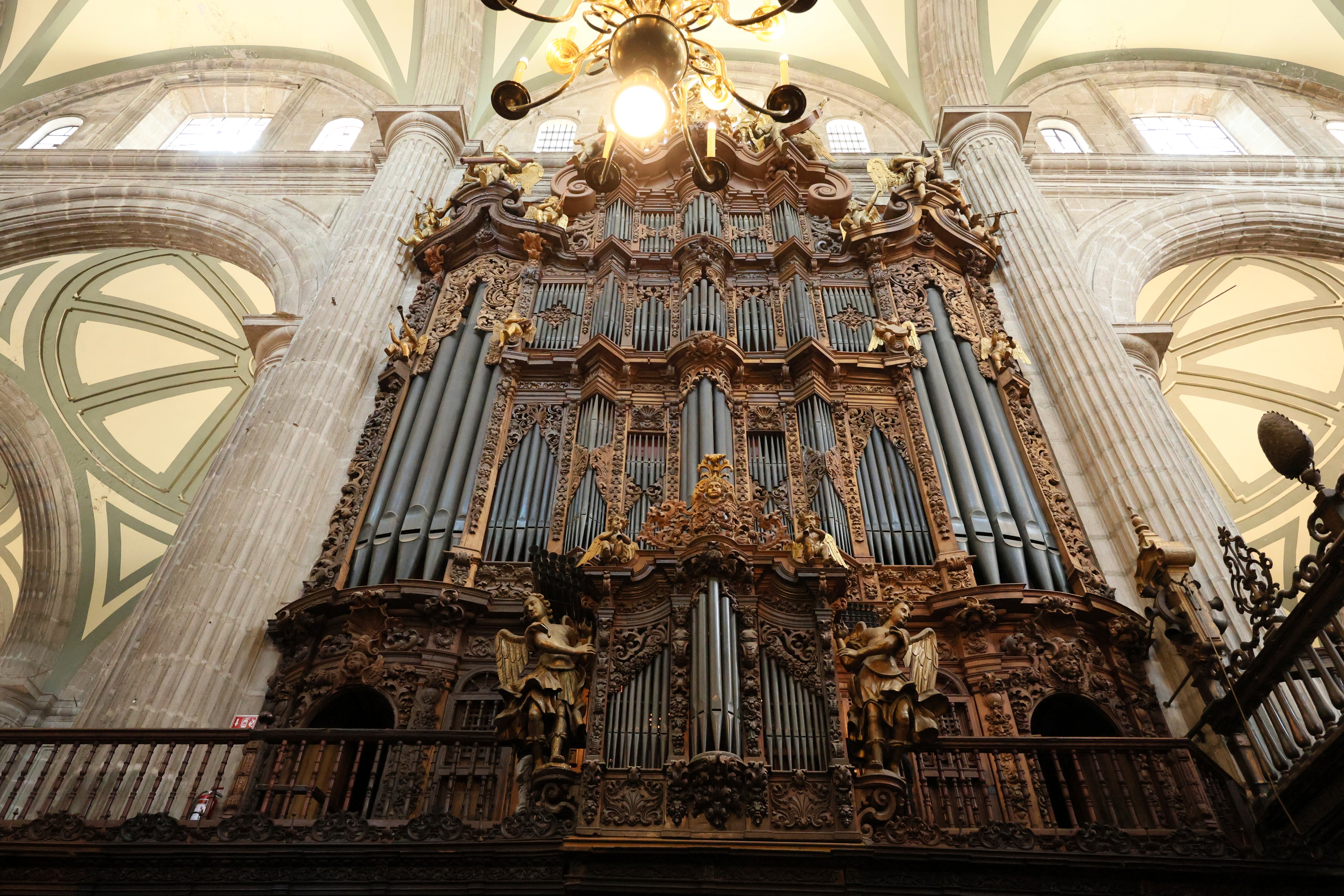 Mexico Organist Cathedral