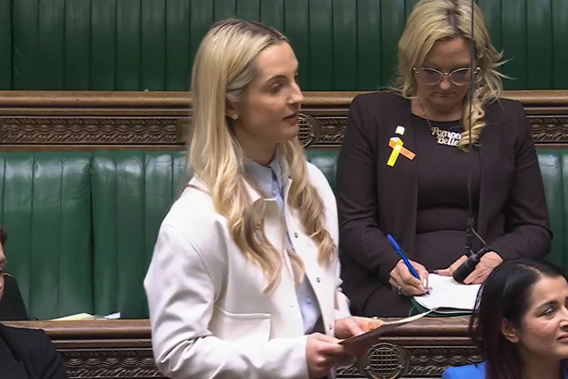 <p>Labour MP Rosie Wrighting addresses the House of Commons</p>