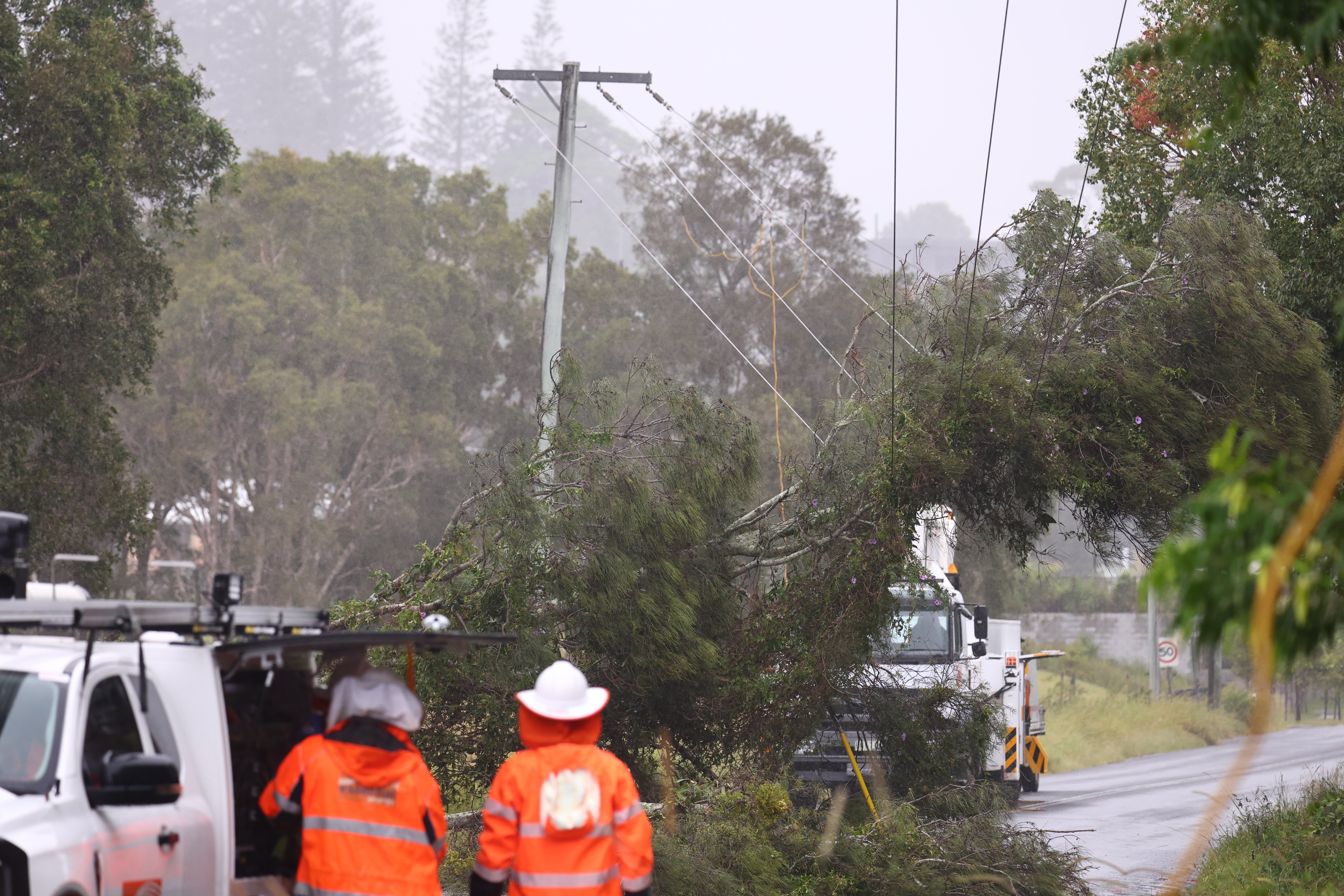 Workers clear a fallen tree from damaged power lines at Chinderah in Northern New South Wales, Australia, 06 March 2025