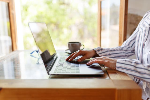 Cropped shot of young businesswoman working on her laptop next to a window (Alamy/PA)