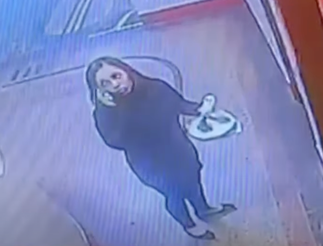 <p>Pamela Alcantara was last seen in security footage entering her Bronx apartment's elevator early Sunday. There is  no footage of her leaving</p>