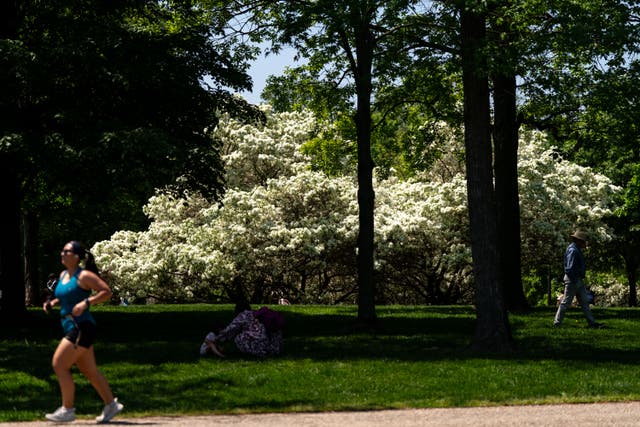 Spring weather forecast: Above-average temperatures expected globally ...