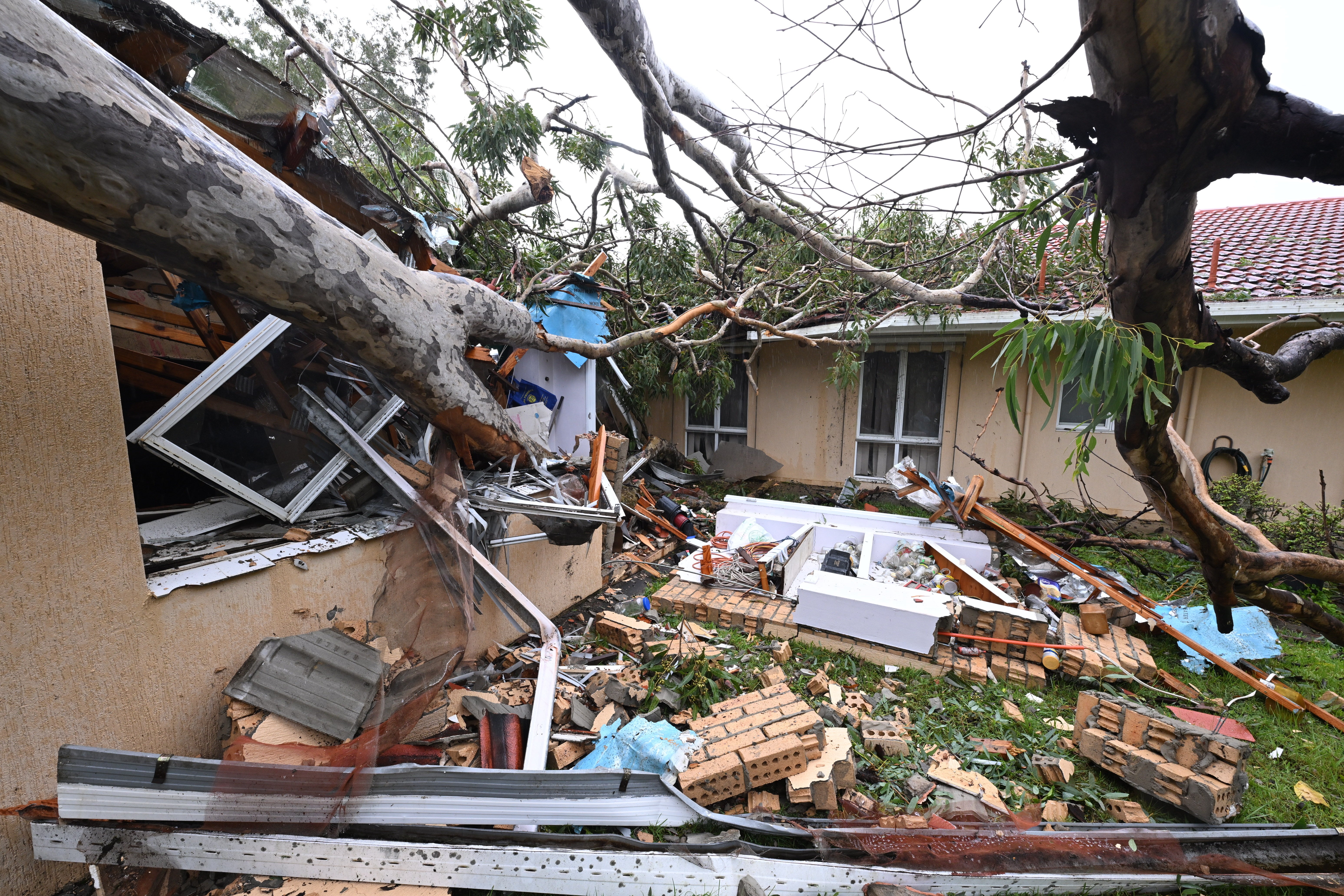 A fallen gum tree at a house on Australia’s Gold Coast ahead of Cyclone Alfred making landfall