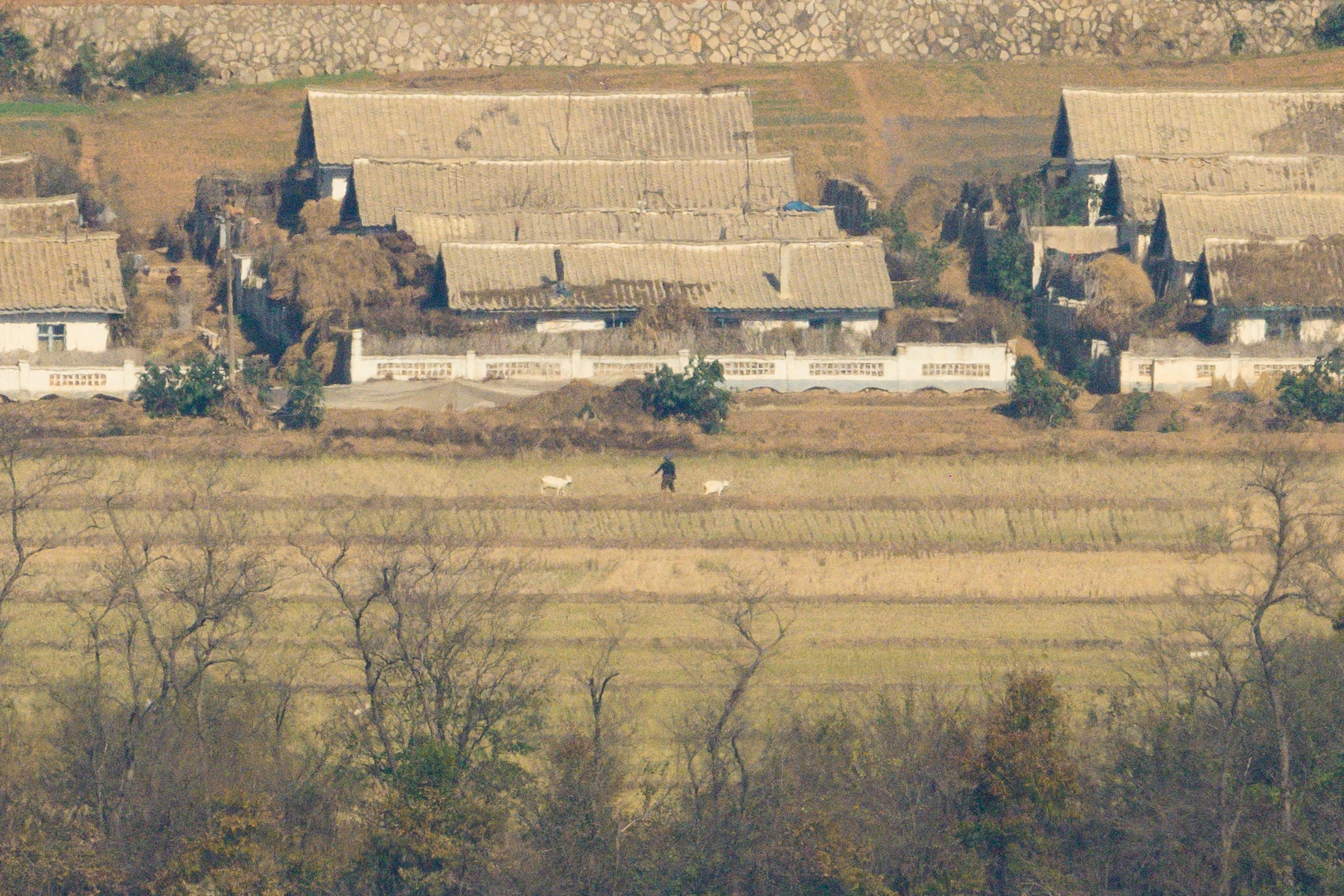 A general view shows a North Korean person walking in a field in the countryside outside Kaesong