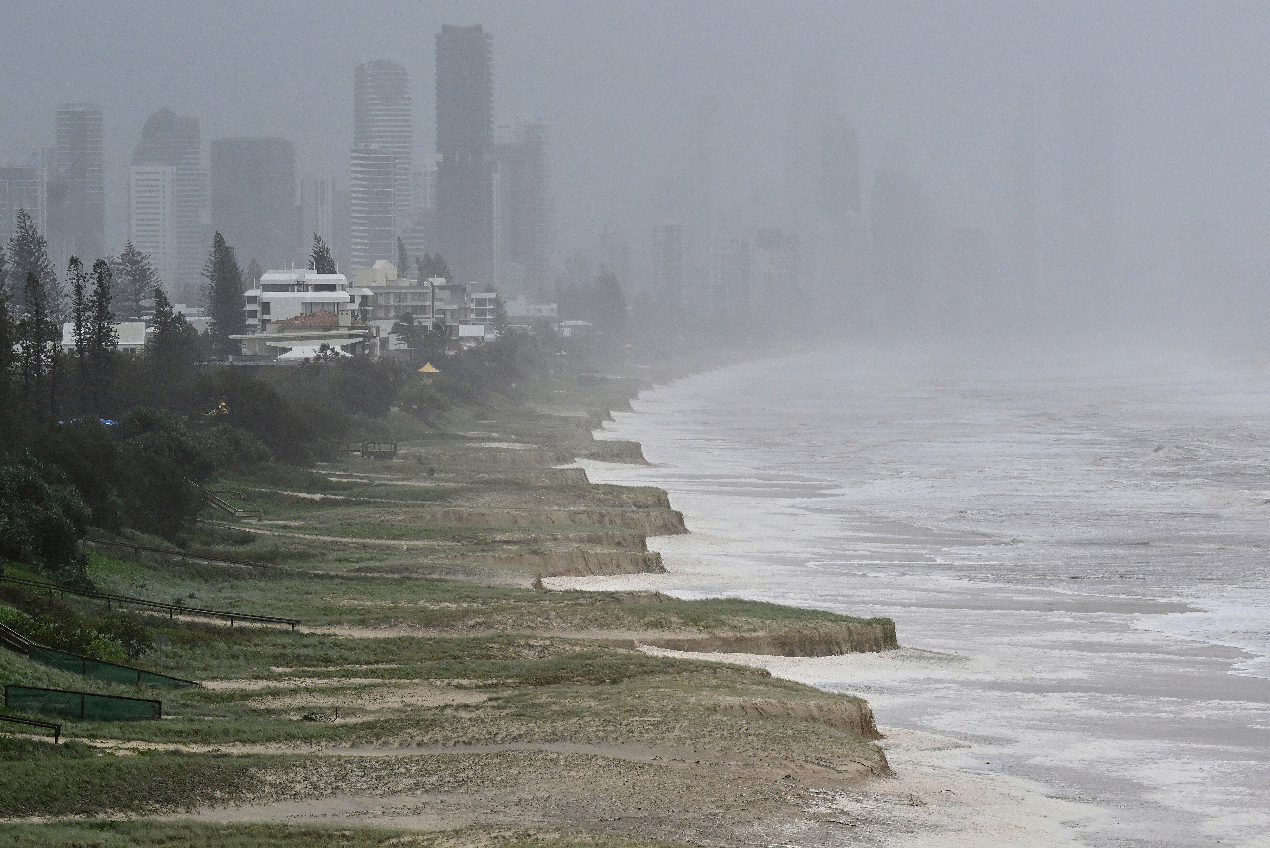 A tree lies fallen on the beach front following cyclone Alfred on the Gold Coast, Australia, Saturday, 8 March 2025