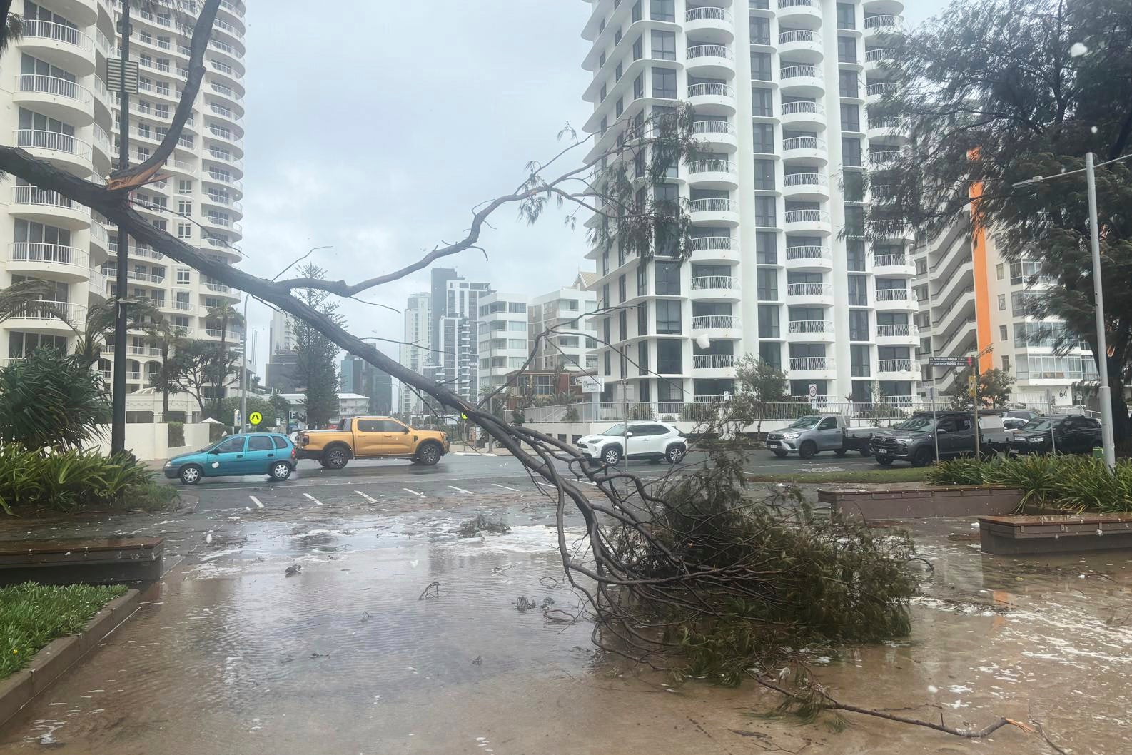 A tree lies fallen on the beach front following cyclone Alfred on the Gold Coast, Australia, Saturday, 8 March 2025