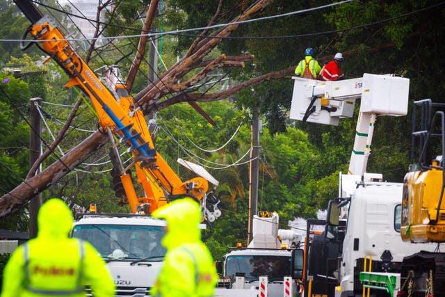 <p>Energex crews clear a fallen tree following the passage of tropical cyclone Alfred</p>