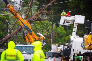 Energex crews clear a fallen tree following the passage of tropical cyclone Alfred