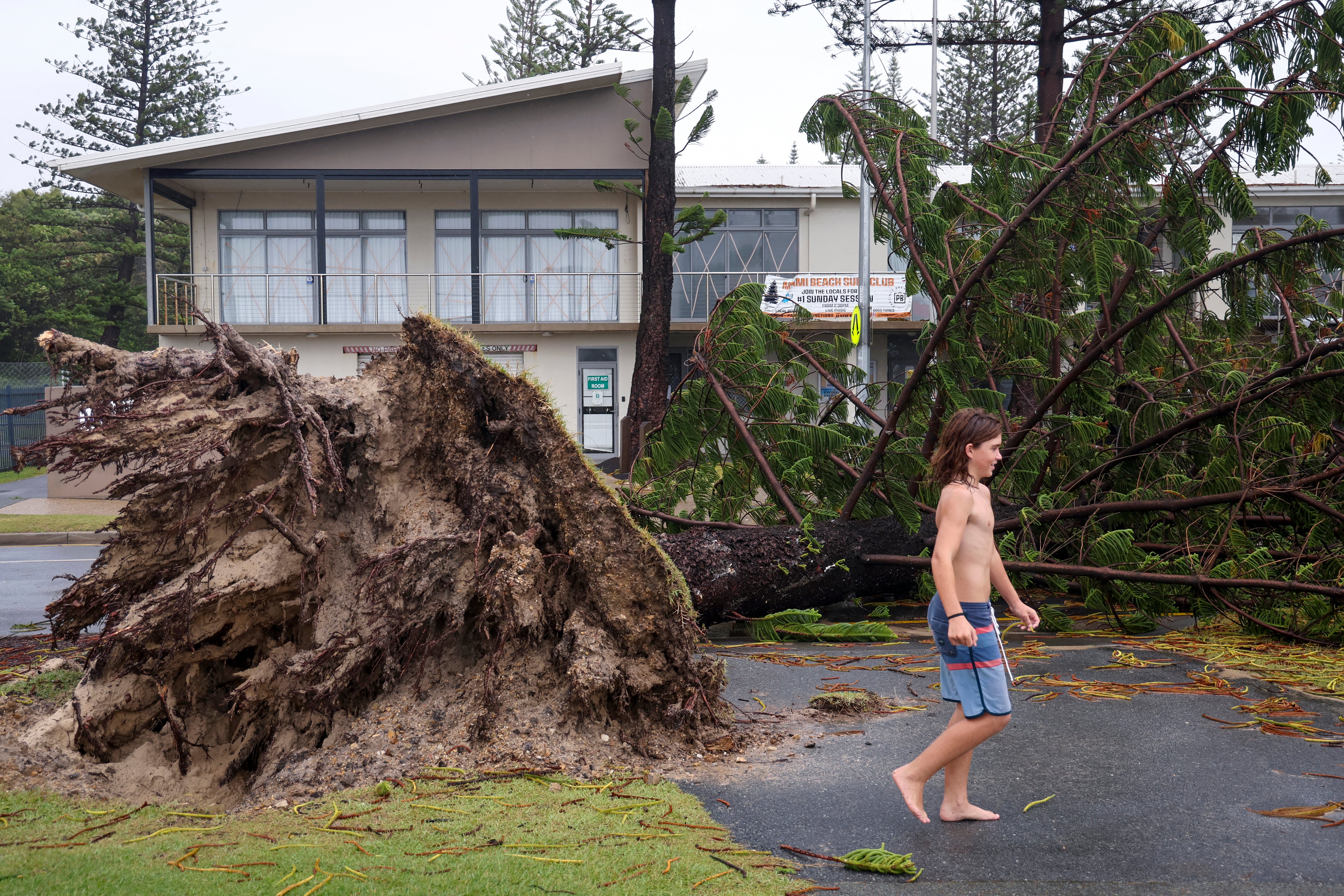 A boy walks past an uprooted tree in front of the Miami Beach Surf Lifesaving Club in the aftermath of Cyclone Alfred on the Gold Coast on 8 March 2025