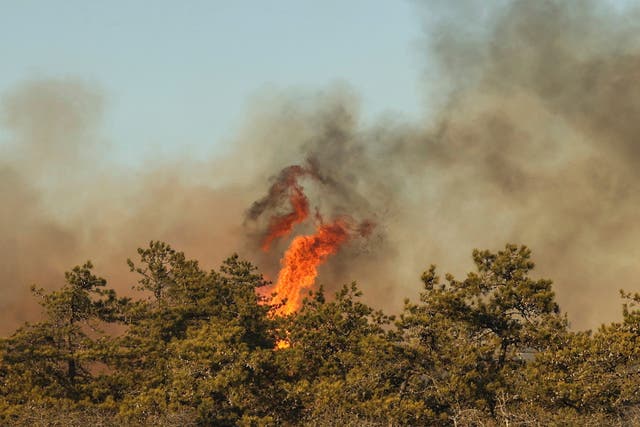 <p>A brush fire in Long Island, New York on Saturday reportedly began after a group of residents tried to make s’mores in their backyard</p>