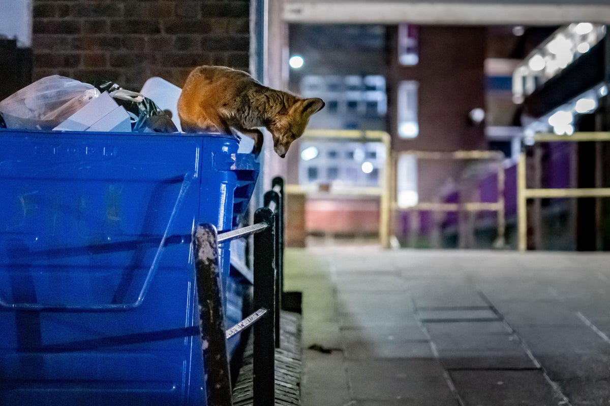 How food waste became the climate crisis no one wants to stop