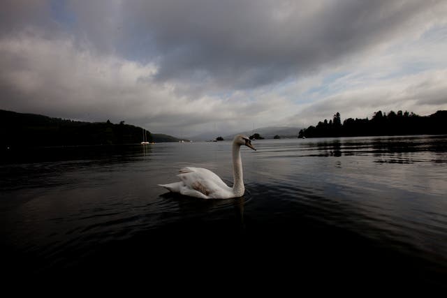 Britain Polluted Lake