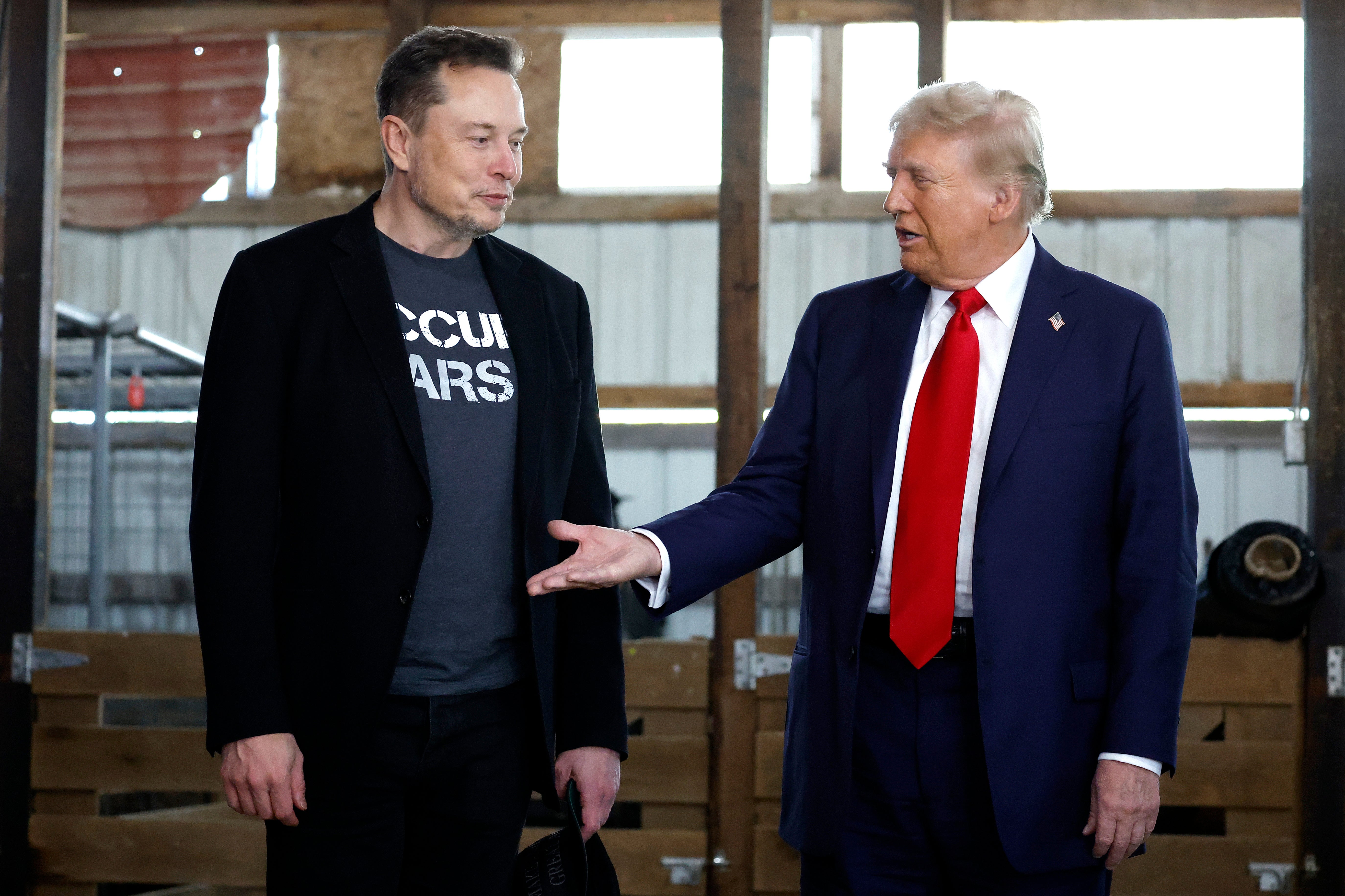 Tesla stock has fallen every week since Musk went to Washington to take up the self-styled role of Donald Trump’s ‘First Buddy’