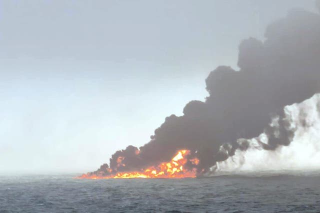 Concerns have been raised for wildlife following the collision between two ships (Bartek Smialek/PA)