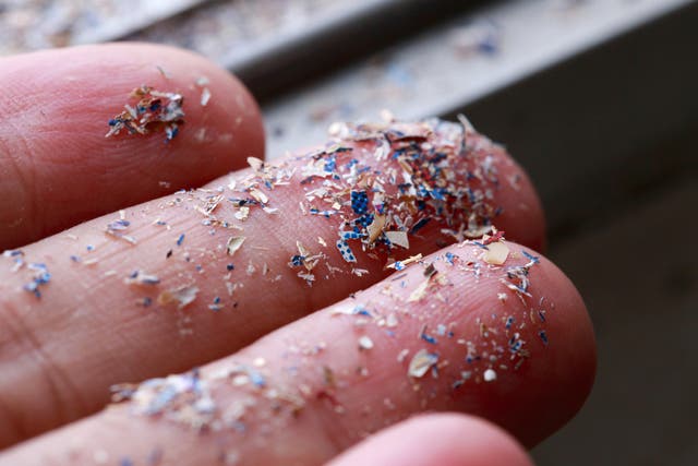 <p>Close up side shot of microplastics lay on people hand.</p>