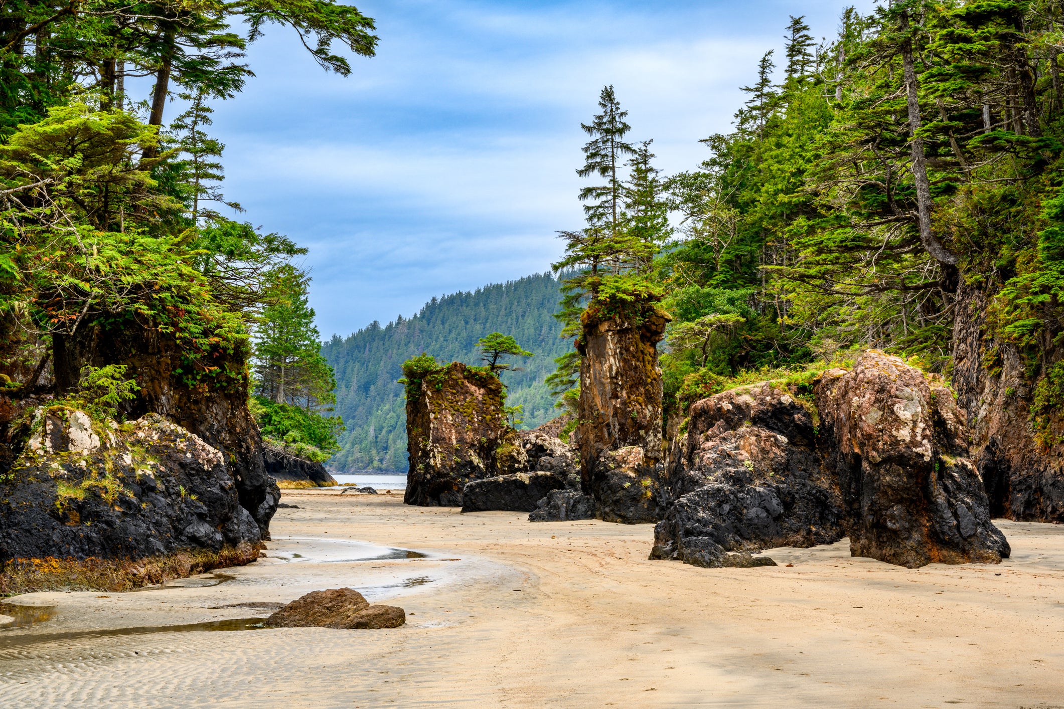 Deadpool and Sonic the Hedgehog were also filmed on the wilderness of Vancouver Island