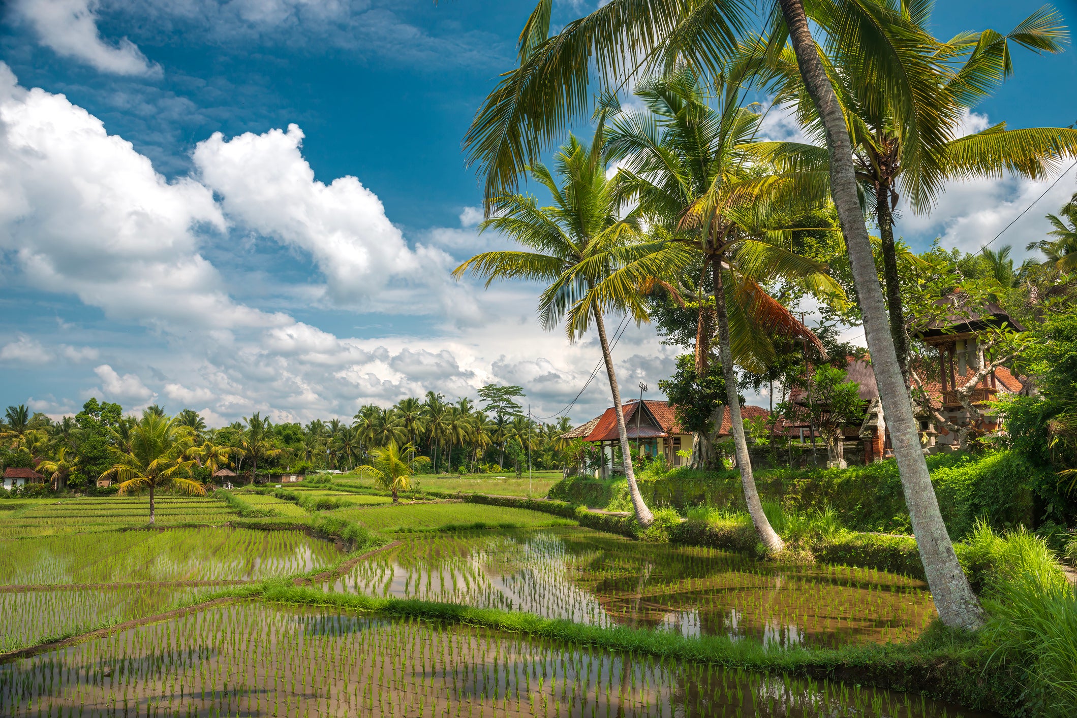 Have your own ‘Eat, Pray, Love’ moment in Ubud, Bali