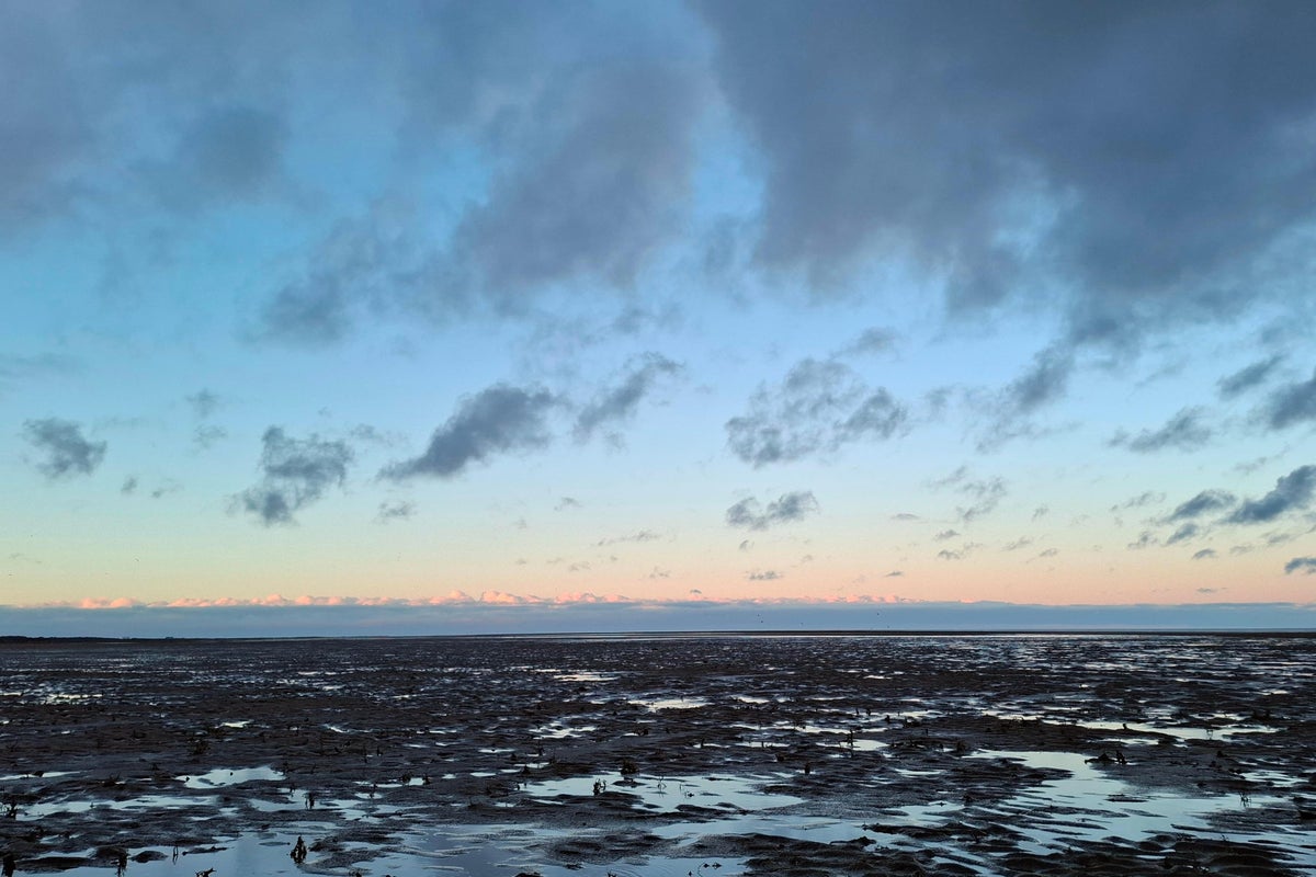 North Sea Oil Tanker Collision Threatens Wildlife, Spills Jet Fuel