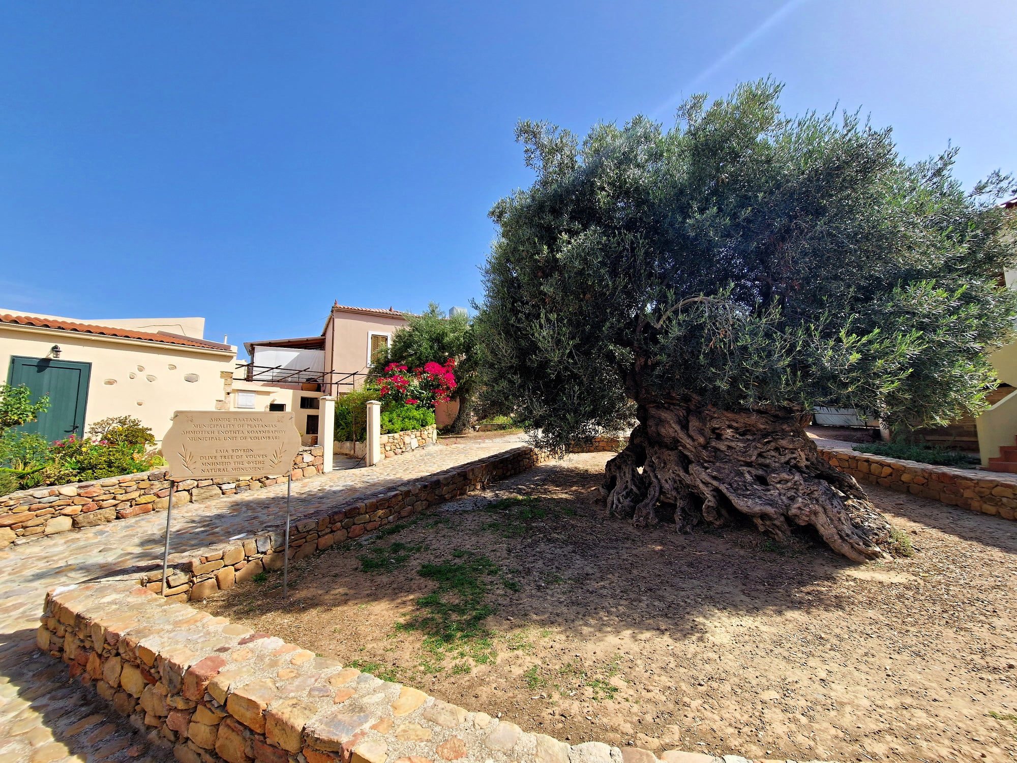 Elia Hotel is in the same small village of Ano Vouves, named after one of the oldest olive trees in the world