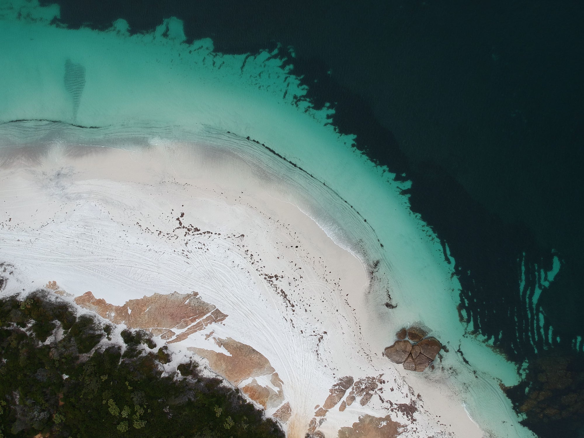 Surfer feared dead in shark attack after board with bite marks ...