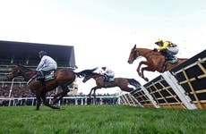 Cheltenham Odds