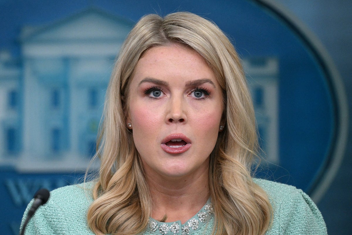 White House press secretary Karoline Leavitt spars with reporter over whether tariffs are ‘taxes’